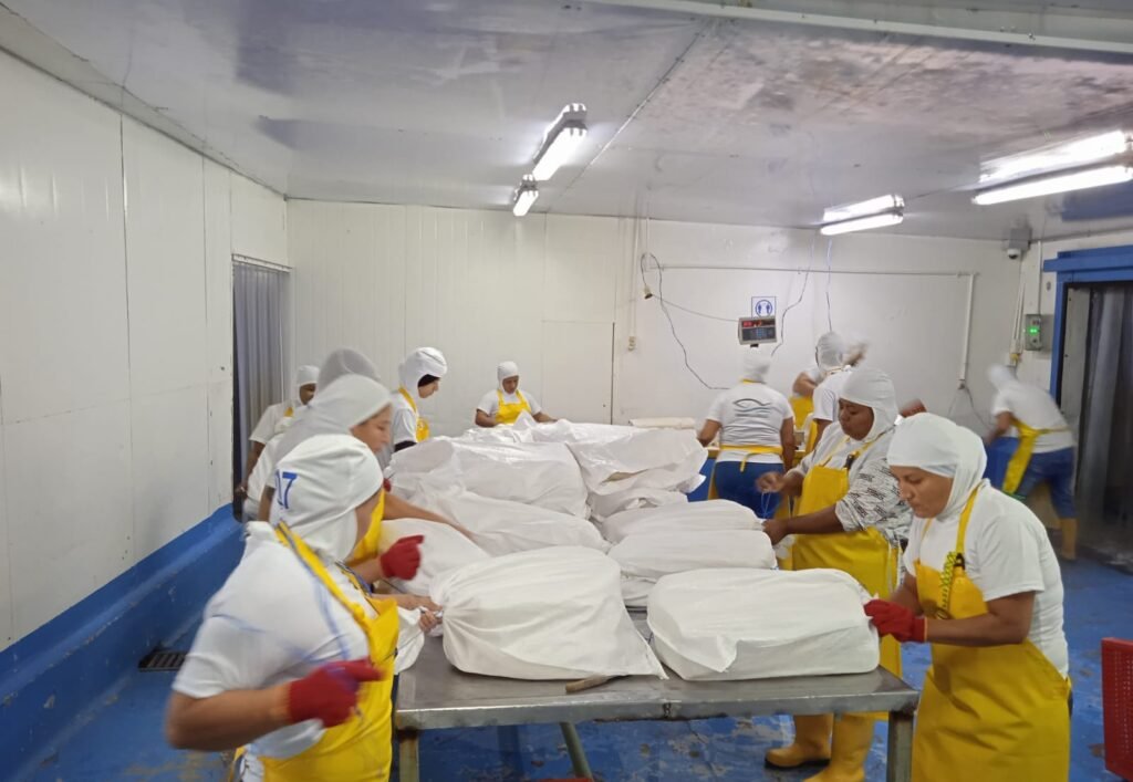 exportación de mariscos y pescado desde Ecuador