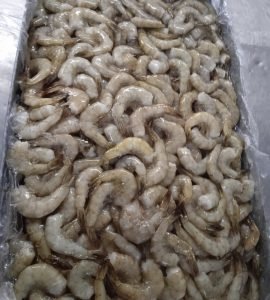 imagen-camarones-blancos