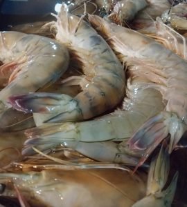 imagen-camarones